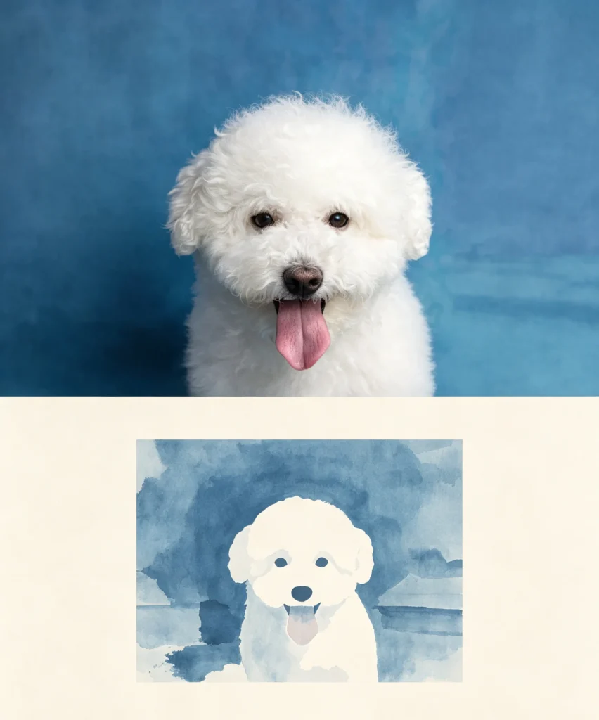 Watercolour portrait of Si Tuo, the Bichon behind Soft Beast