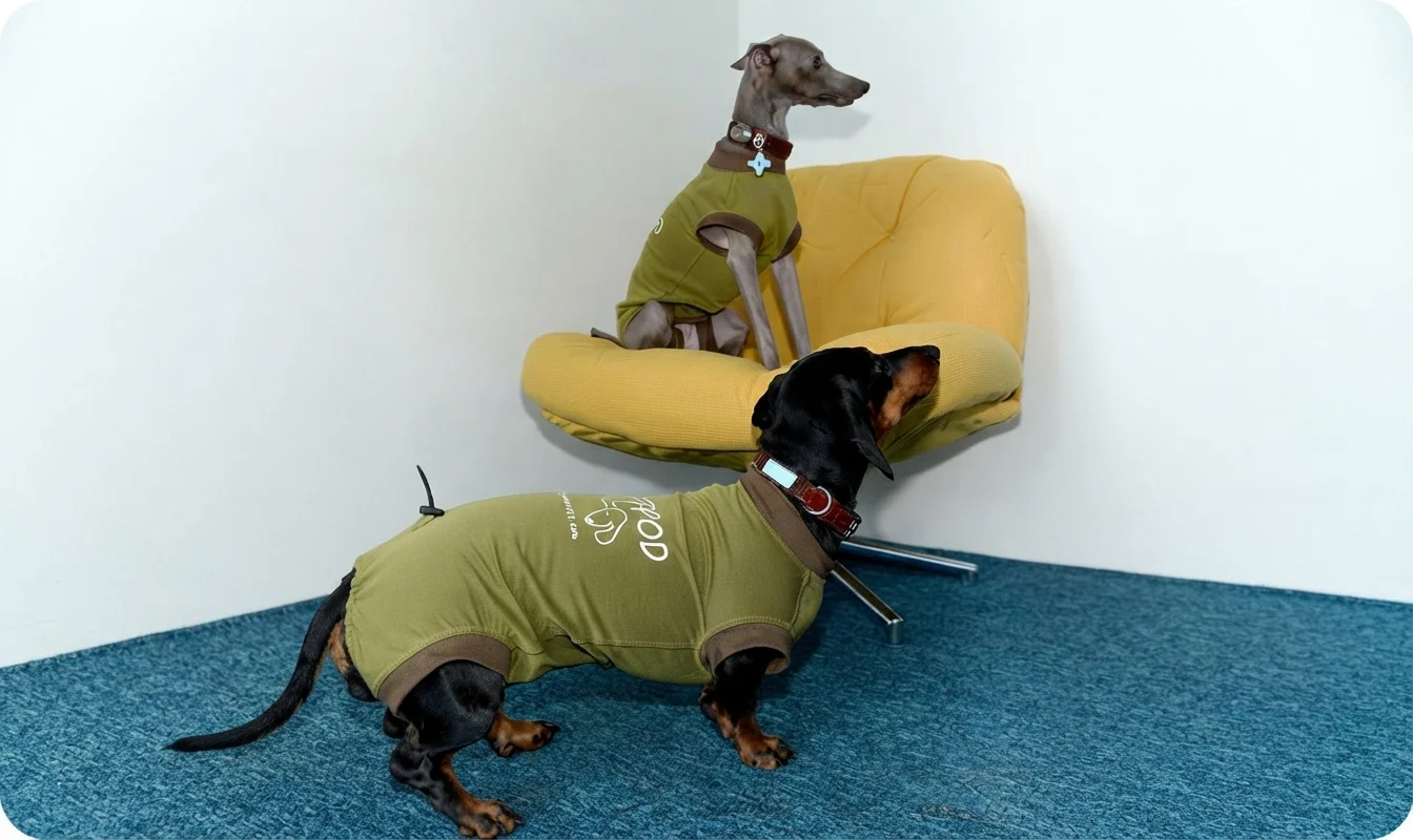 soft-beast-best-dog-toys